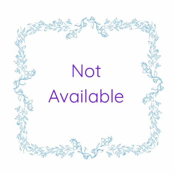 Anne Klein Shoes - 《SOLD》ANNE KLEIN Silver Studded Snakeskin Block Heels